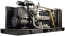 Газовый генератор Pramac GGW500G