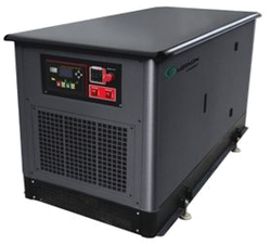 Газовый генератор Mirkon Energy MKG31T с АВР
