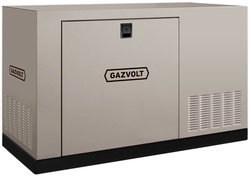 Газовый генератор Gazvolt Standard 10 KT Dnepr 11 с АВР