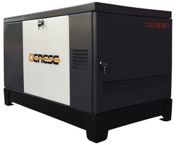 Газовый генератор Genese Pro 17000 Neva в кожухе с АВР