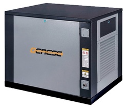 Газовый генератор Genese Standard 5000 Neva в кожухе с АВР