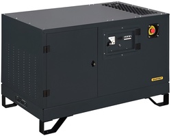 Газовый генератор Gazvolt Pro 6250 Neva 06